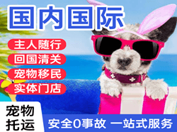 潍坊航空快递国际宠物托运 【国